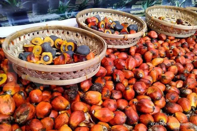 Pemerintah Teruskan Sengketa Minyak Sawit dengan Uni Eropa di WTO