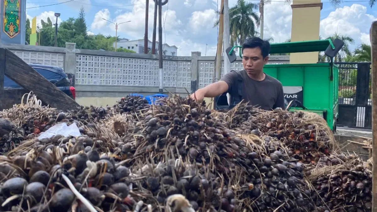 Kapolres Kotim Tegaskan Tindakan Tegas Terhadap Pencurian Sawit