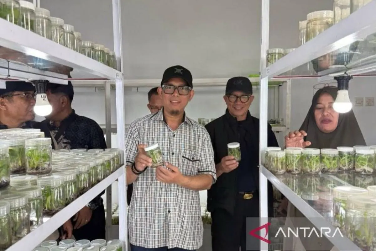 Pemkab OKU Kembangkan Tanaman Unggul Melalui Teknologi Kultur Jaringan