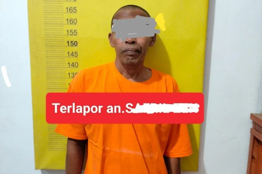 Polisi Tahan Pria Asal Sumut Terkait Kasus Kejahatan Seksual Anak di Pelalawan