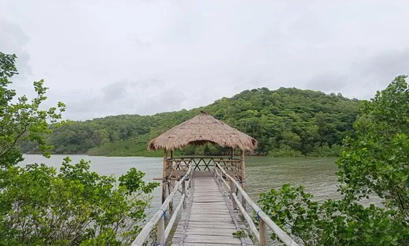 Pesona Pantai Siwil dan Teban: Sunset Indah dan Edukasi Mangrove di Pacitan