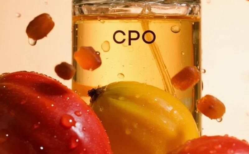 Harga CPO Malaysia Turun Tertekan Soyoil dan Isu Kebijakan B50 Indonesia