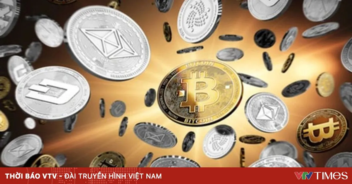 Mengenal Dua Jenis Utama Bursa Aset Digital di Dunia