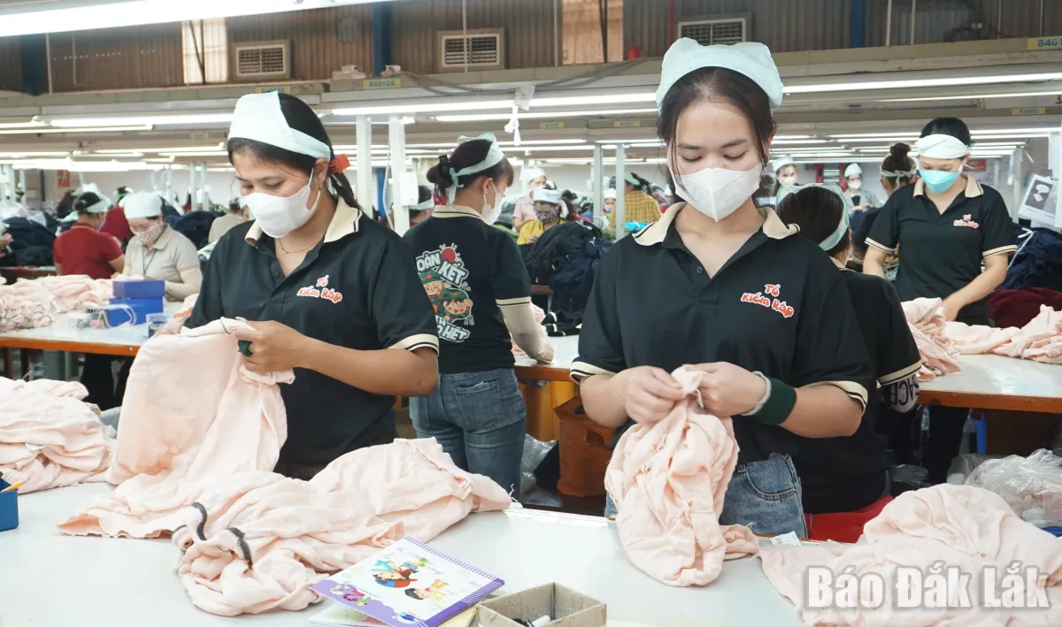 Pemimpin Bisnis Dak Lak Didorong Kenali 'Titik Buta' untuk Meningkatkan Kemandirian Ekonomi