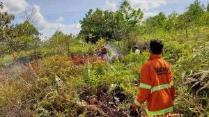 Kubu Raya Ajukan Bantuan Pemadam Kebakaran Setelah Tidak Masuk Daftar Penerima