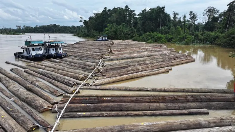 Kemenhut Pastikan Legalitas Kayu yang Diangkut di Sungai Kapuas Kalteng