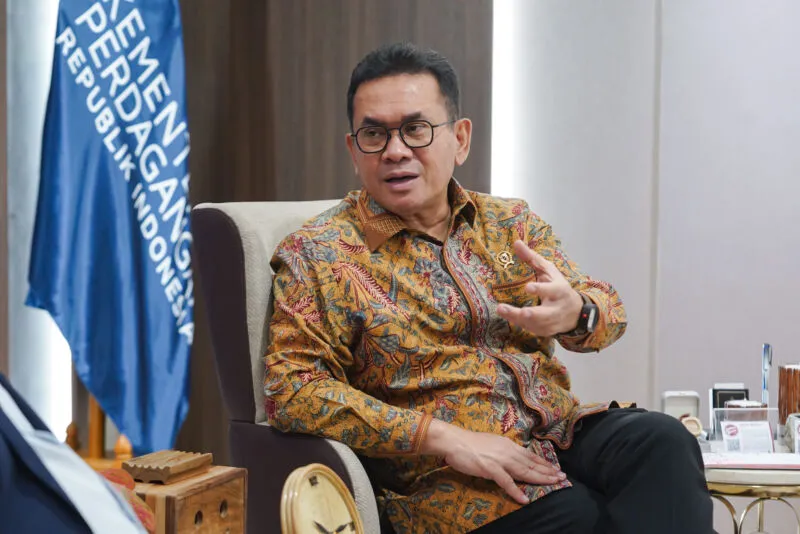 Pemerintah Indonesia Siap Bela Industri Panel Surya Hadapi Penyelidikan AS
