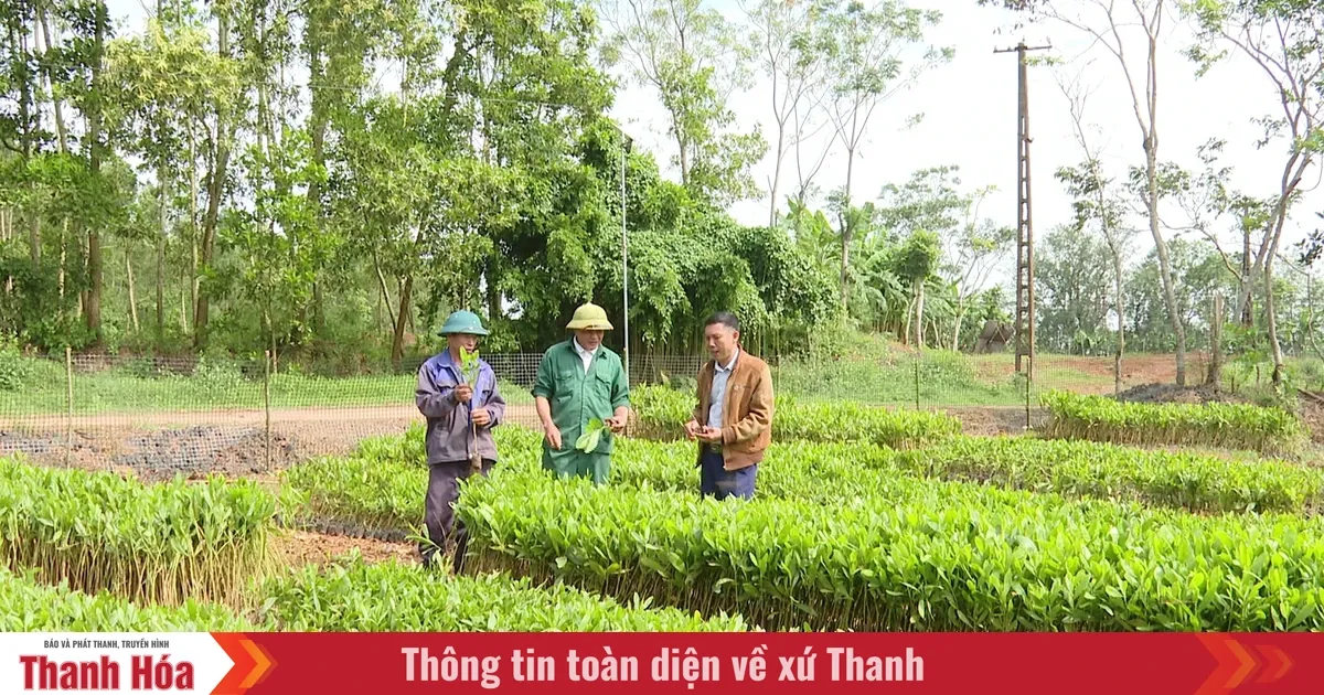 Pelatihan Kejuruan Tingkatkan Pendapatan Pekerja Pedesaan di Thanh Hoa