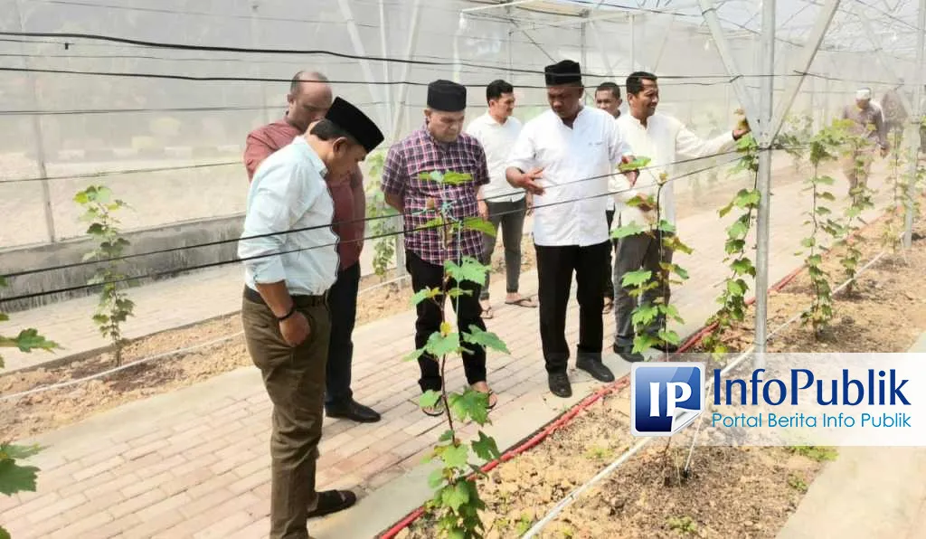Greenhouse Anggur di Sekolah Aceh: Sarana Praktik dan Sumber Ekonomi