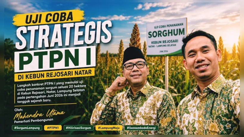 PTPN I Mulai Uji Coba Penanaman Sorgum di Lampung untuk Bioetanol