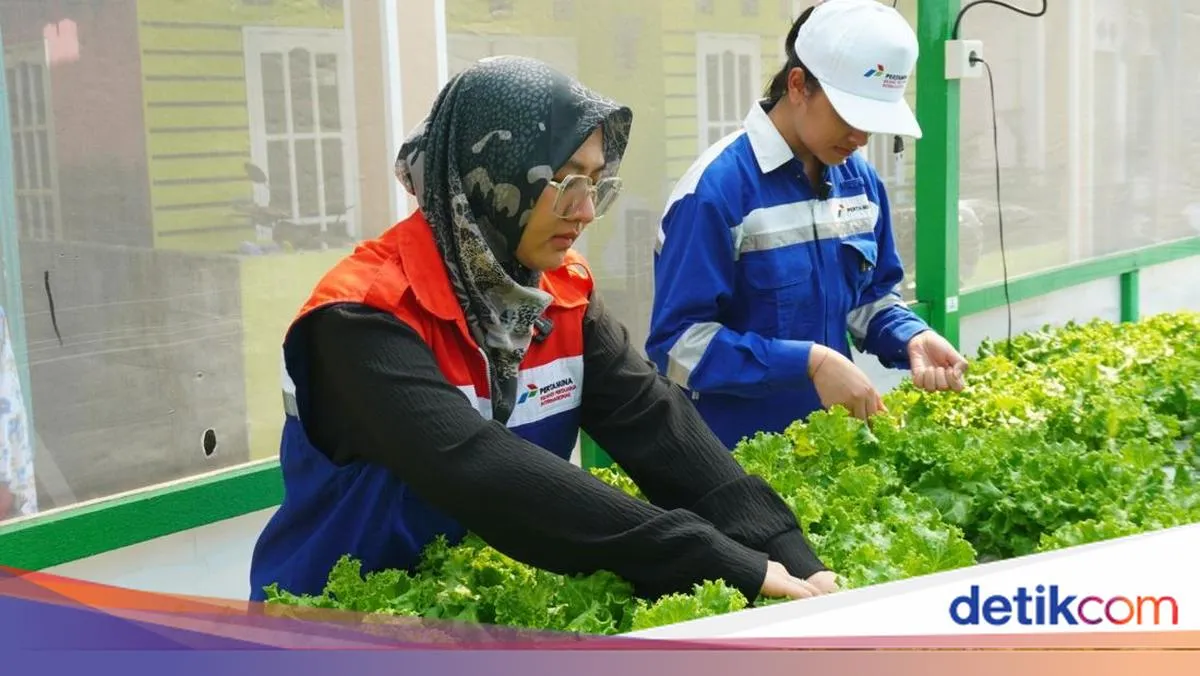 Pertamina Dukung Kemandirian Ekonomi Perempuan Melalui Program Urban Farming