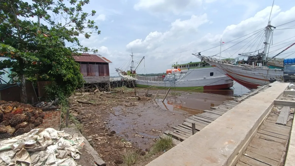Warga Cemas, Diduga Ada Banyak Buaya di Pelabuhan H Ali