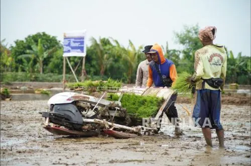 40 Ribu Petani Jabar Dapat Perlindungan Asuransi Subsidi 100%