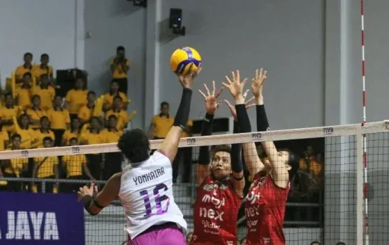 Popsivo Polwan Raih Tempat di Final Four Proliga 2026