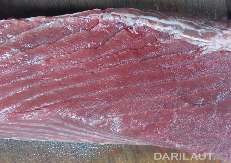 Tuna Sirip Biru, Ikan Termahal Dunia, Tiba di Gorontalo