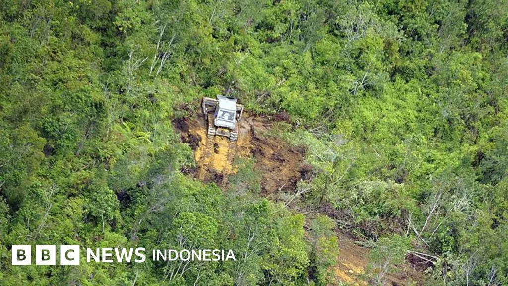 Aturan Baru: Negara Dapat Ambil Alih Tanah Terlantar