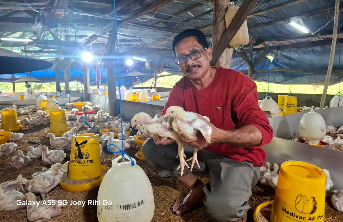 Marthen Dira Tome Serukan Solusi Ekonomi Terkait Isu PPPK dan Peluang Program MBG