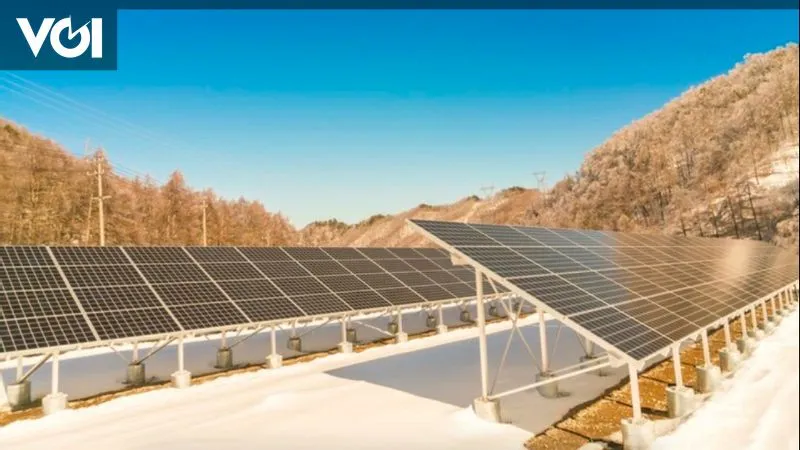 PT Ishizuka Maspion Indonesia Resmikan Pembangkit Listrik Tenaga Surya untuk Energi Berkelanjutan