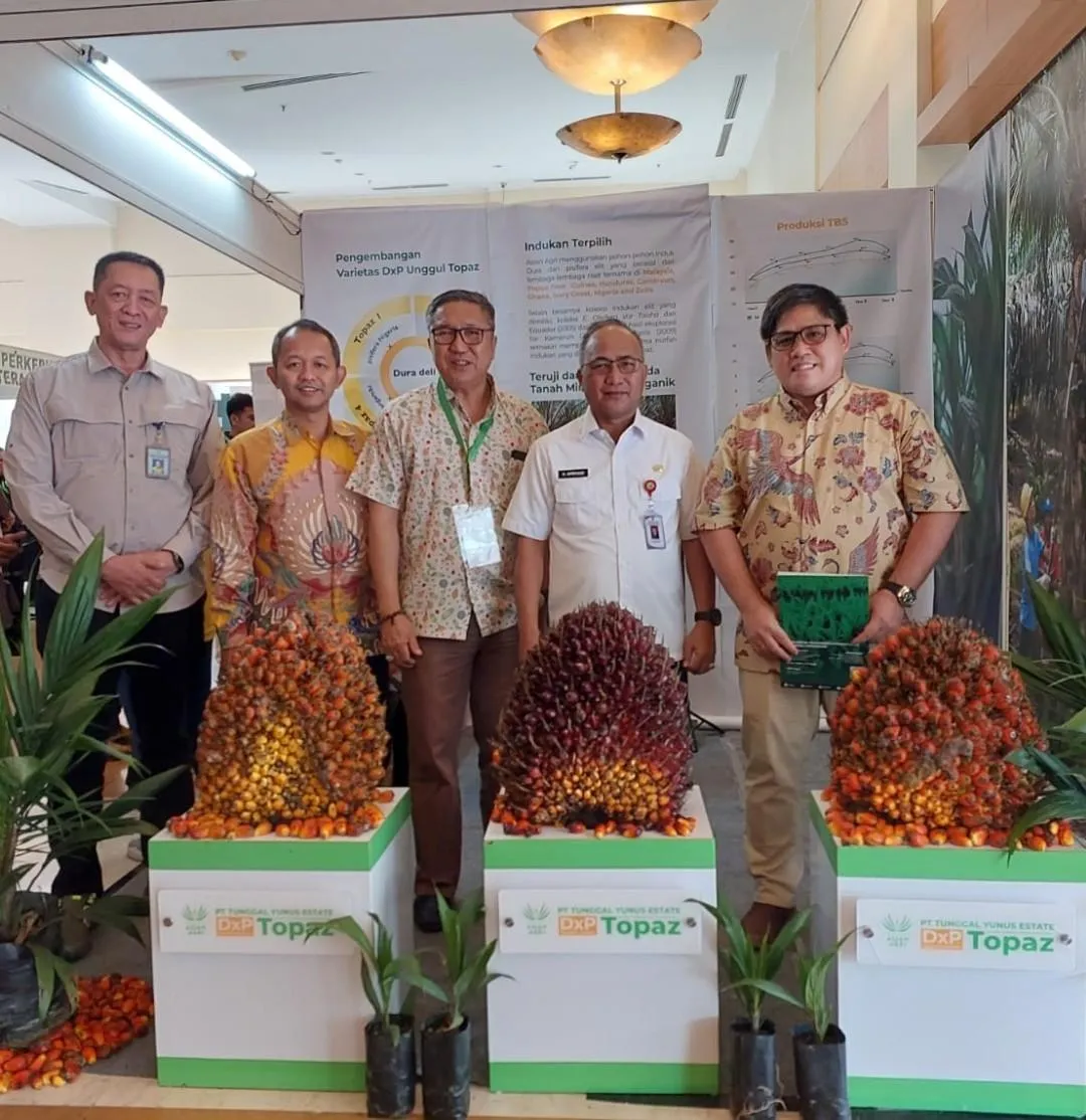Varietas Benih Topaz Tingkatkan Produktivitas Sawit secara Signifikan