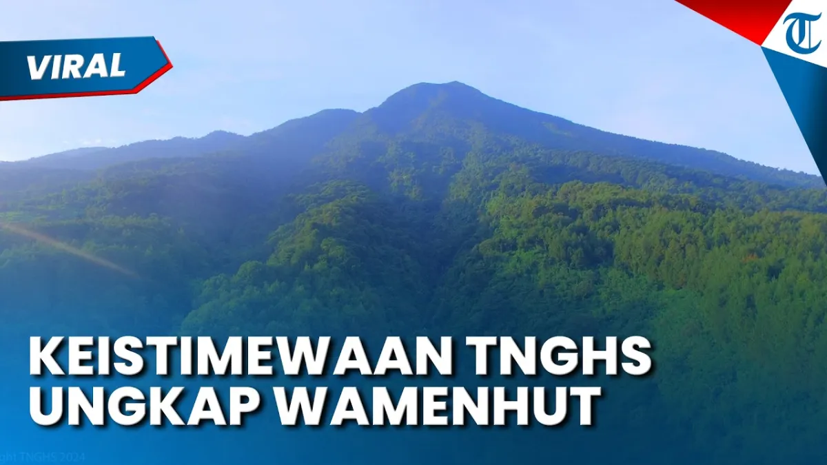 Taman Nasional Gunung Halimun Salak: Hutan Tropis dan Rumah Satwa Langka