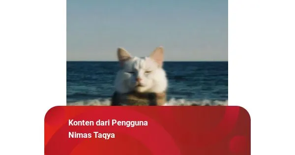 Mengubah Stigma Gap Year: Peluang Berkembang di Tengah Pandangan Negatif