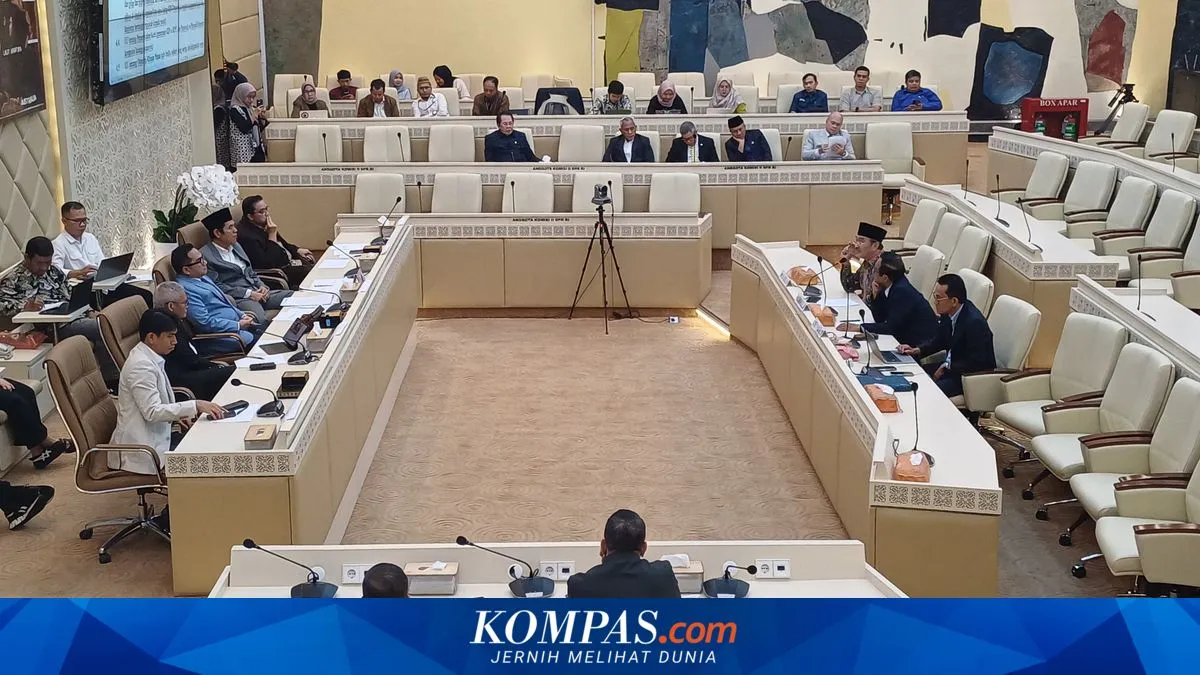 Pakar Hukum Sampaikan Usulan Pemilu kepada Komisi II DPR RI