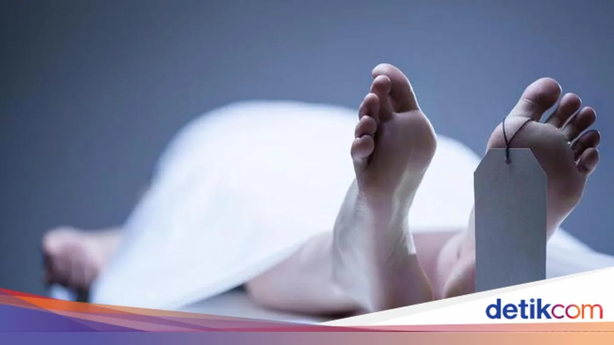 Pelaku Sabung Ayam Tewas Terjun ke Sungai Saat Penggerebekan di Lampung
