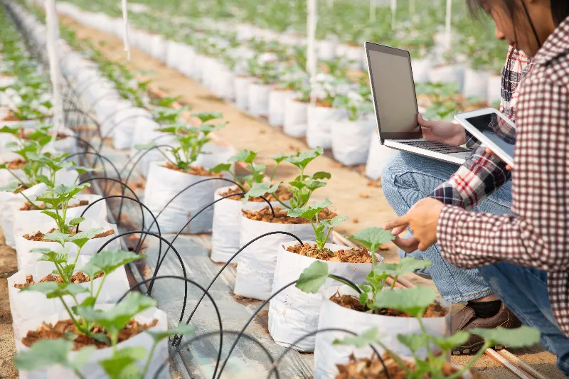 Workshop Smart Agriculture IPB 2026 Dorong Kolaborasi untuk Pertanian Berkelanjutan