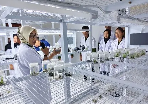 Mahasiswa UMPR Pelajari Teknologi Kultur Jaringan di Laboratorium BPPBTPH