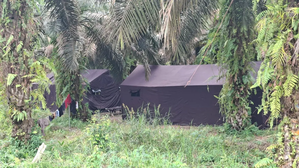 Pemkab Kotim Tegaskan Kewenangan Perubahan Gapoktanhut di Tangan Pusat