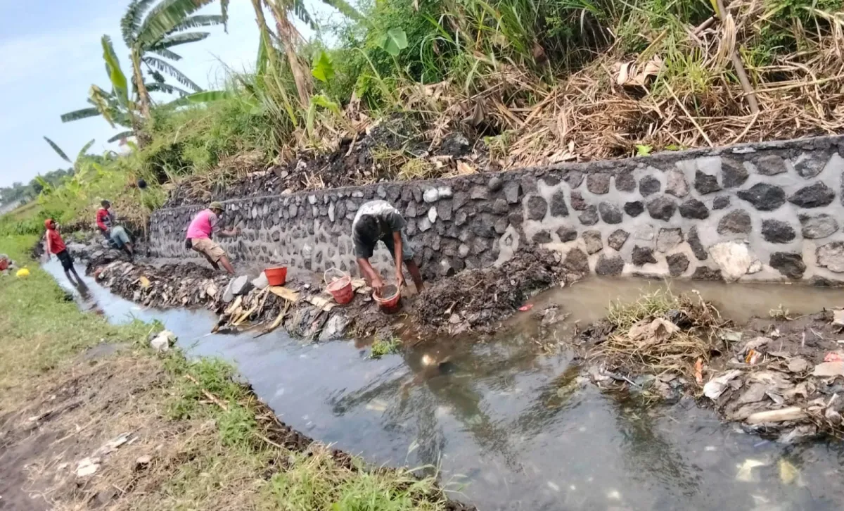 Proyek Pemeliharaan Saluran di Desa Randupitu Diduga Langgar Aturan K3 dan Transparansi