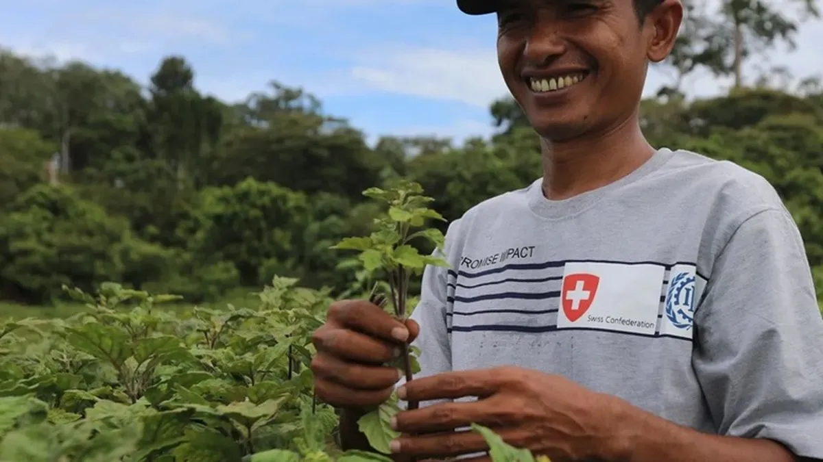 Tantangan Petani Nilam Aceh dalam Menghadapi Akses Pasar dan Kesejahteraan