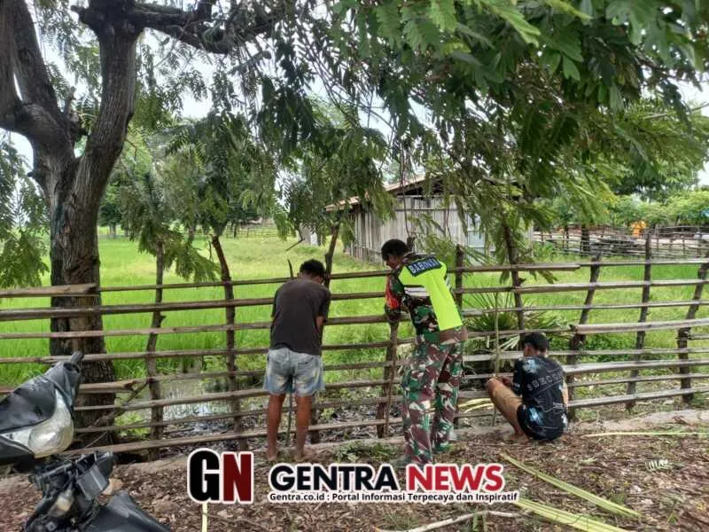 Sinergi TNI dan Warga Desa Ponu Jaga Ketahanan Pangan Lewat Gotong Royong