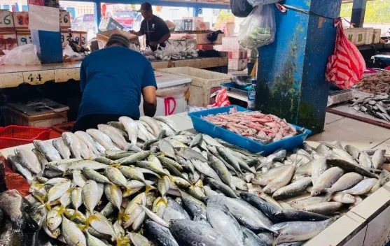 Kenaikan Harga Ikan dan Penurunan Cabai di Pasar Malinau