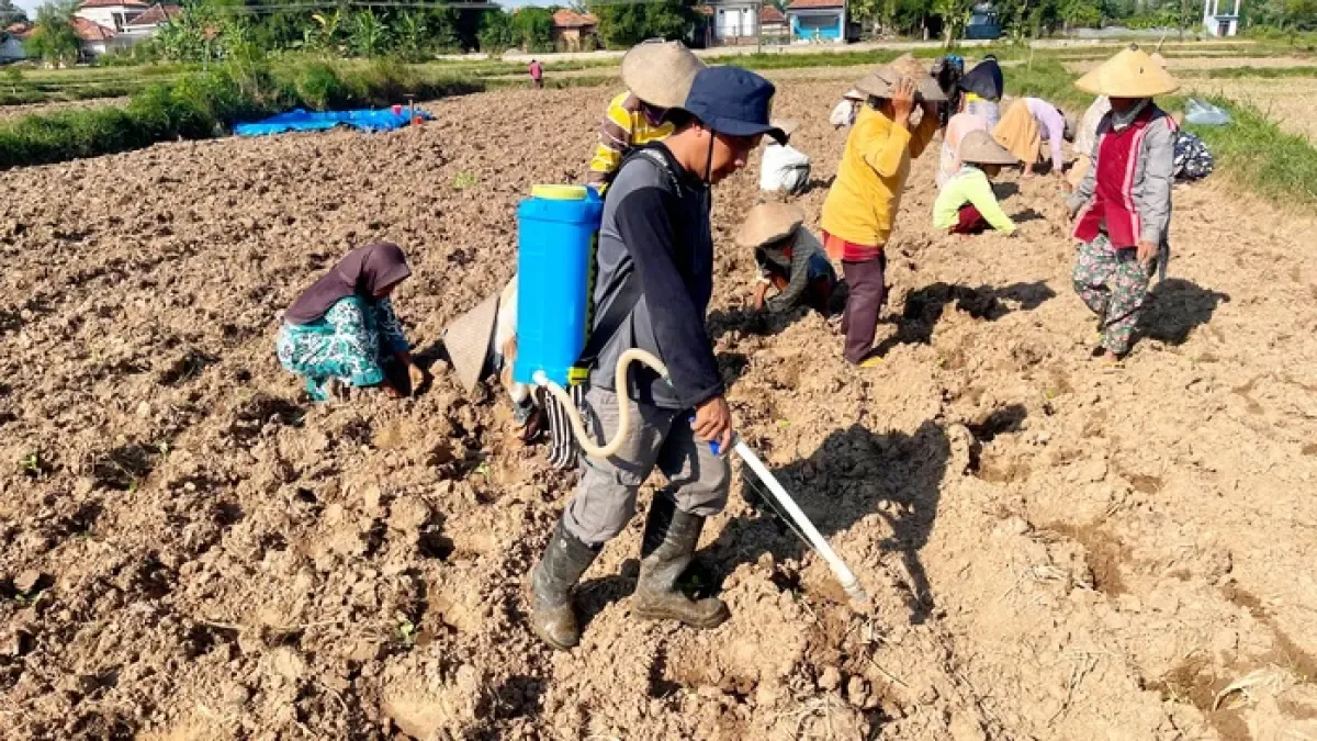 Kepedulian Mohammad Sugianto Membangun Harapan Petani Bangkalan