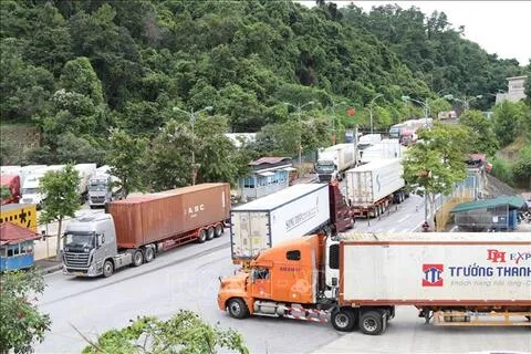 Situasi Impor dan Ekspor Barang di Gerbang Perbatasan Provinsi Lang Son per 6 Juli 2026