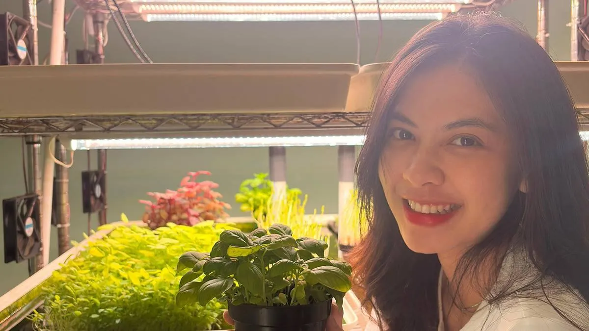 Adhya Shinta Kembangkan Greens Lampung: Dari Hobi Menjadi Penyedia Microgreen Sehat