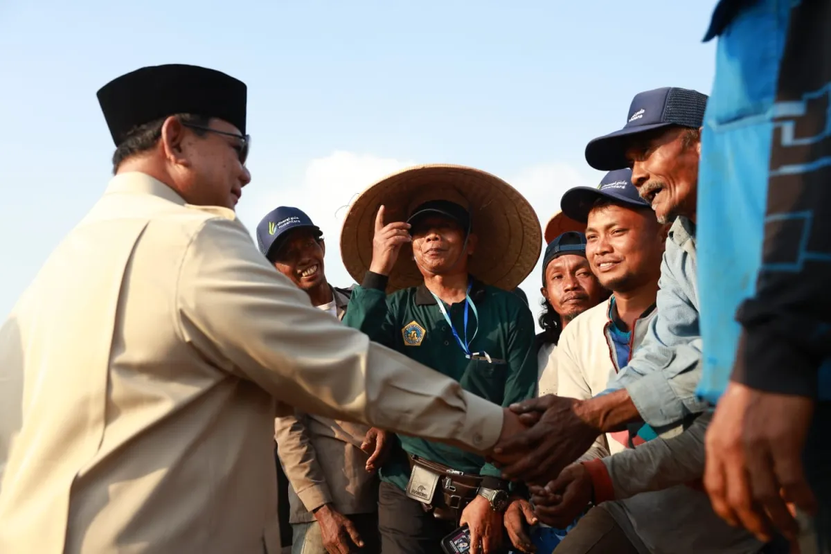 Buruh Tani Lansia Menanti Kedatangan Prabowo dan Harapan untuk Petani Makmur