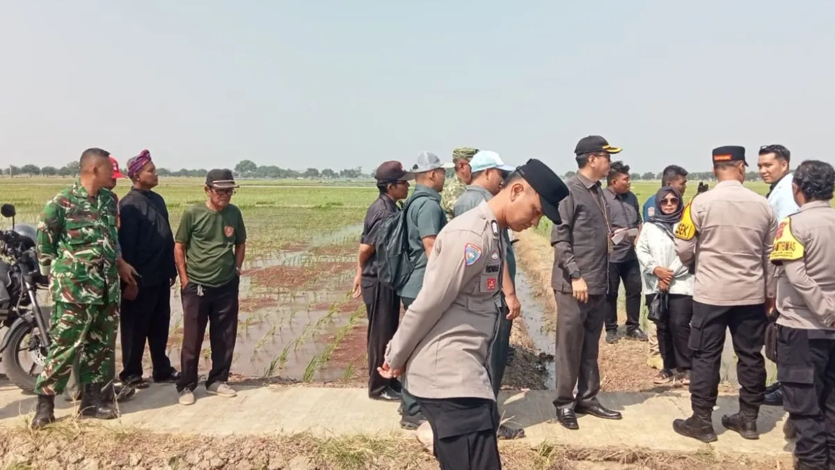 TNI-Polri Amankan Pencocokan Batas Lahan Sawah Sengketa di Mekarjaya Subang