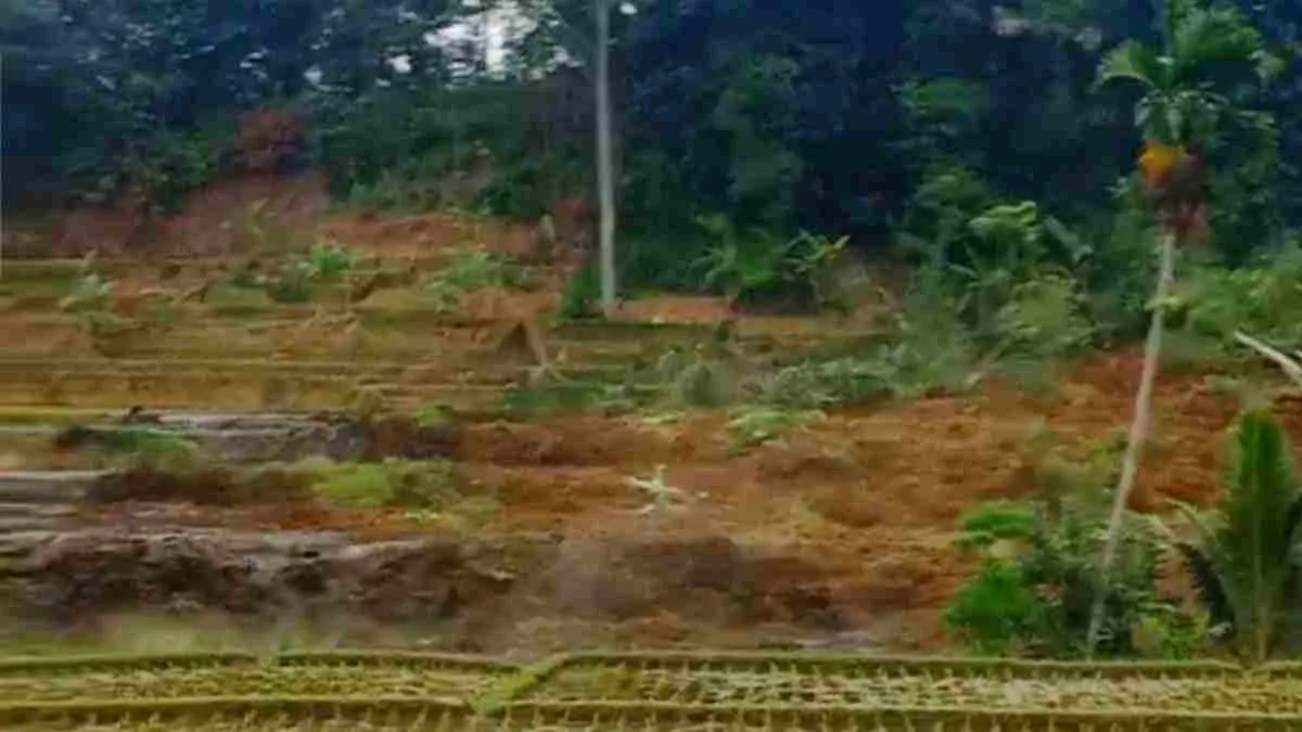 Longsor di Tasikmalaya Hampiri Sawah, Suara Azan Selamatkan Warga