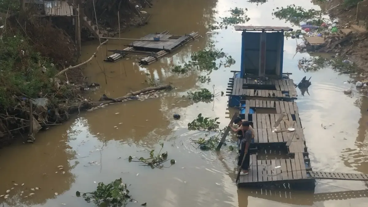 Akademisi ULM: Sungai Martapura Alami Tekanan Ekologis Serius akibat Kematian Ikan