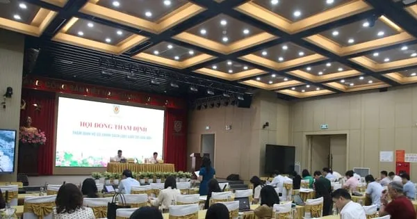 Kebijakan Baru untuk Menarik Pengacara dan Firma Hukum di Vietnam