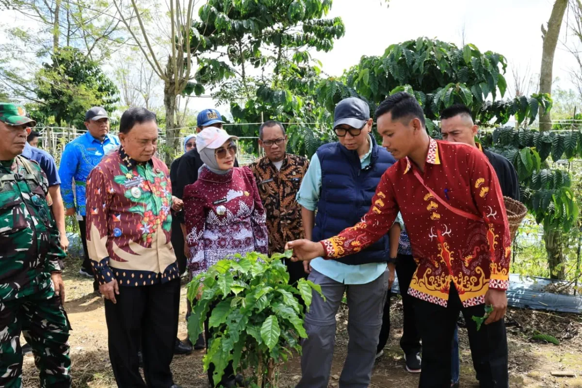 Transformasi Perkebunan Kopi di Lampung Melalui Pupuk Hayati Cair