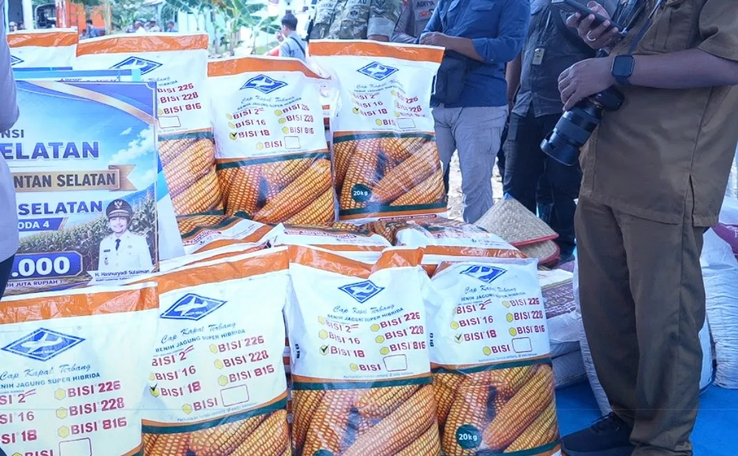 Tanah Laut Resmi Jadi Sentra Jagung, Ketua DPRD Kalsel Optimistis Sejahterakan Petani