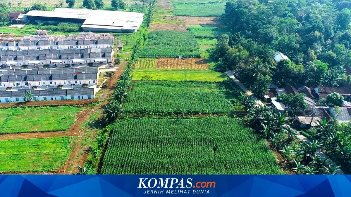 Dua Belas Akademisi Dukung Konstitusionalitas Badan Bank Tanah di MK