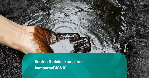 Pergerakan Harga Komoditas: Minyak Mentah Turun, CPO dan Timah Menguat