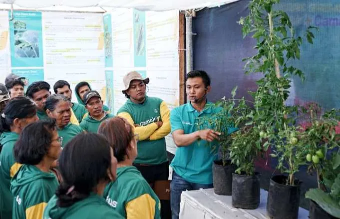 Bayer Luncurkan Insektisida Camalus untuk Tingkatkan Produktivitas Hortikultura Indonesia