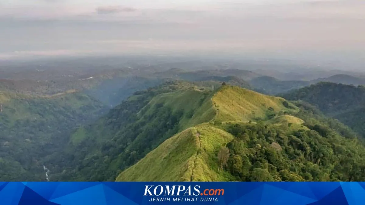 Kebakaran Hutan di Tahura Raden Soerjo, Pendakian Bukit Cendono Ditutup