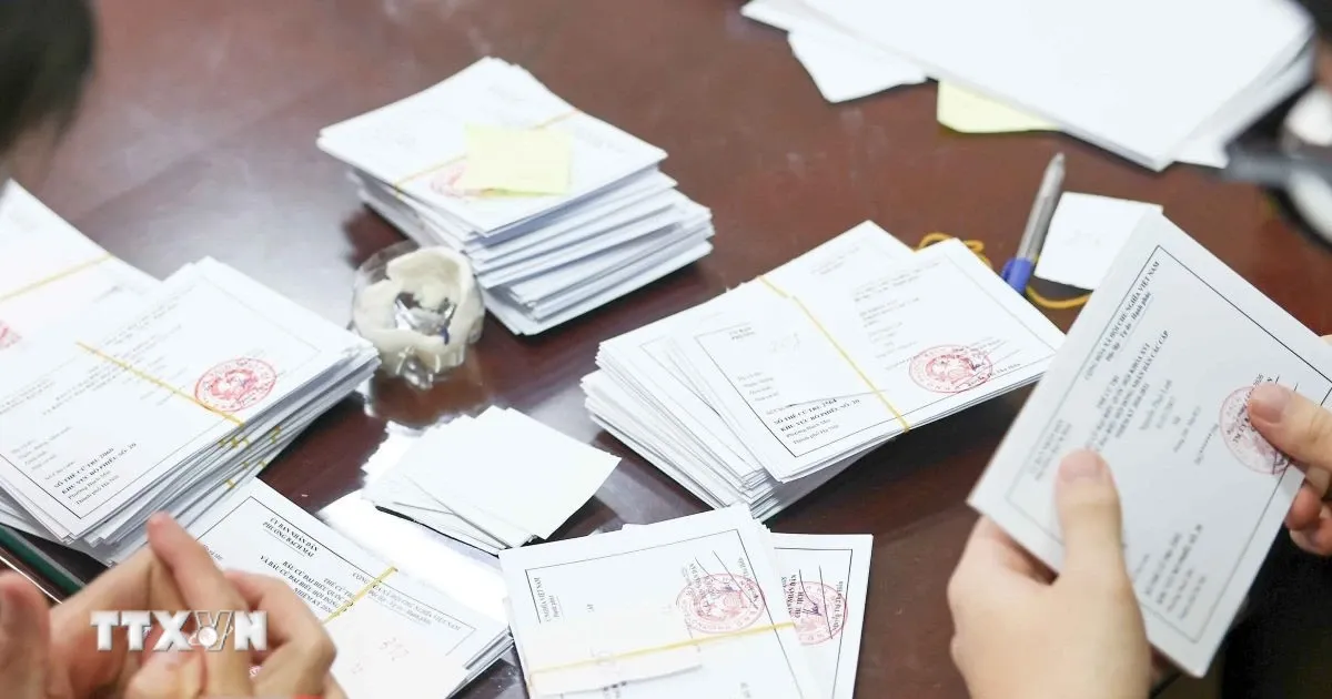 Phát Thẻ cử tri: Dukung Partisipasi Pemilih di Vietnam
