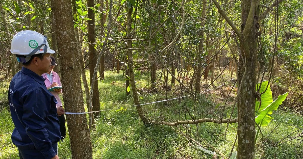 Transformasi Ekonomi Hutan Melalui Sertifikasi Pengelolaan Berkelanjutan